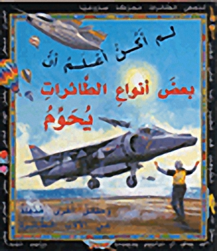 لم أكن أعلم أن بعض أنواع الطائرات يحوم : وحقائق أخرى مذهلة عن الآلات الطائرة