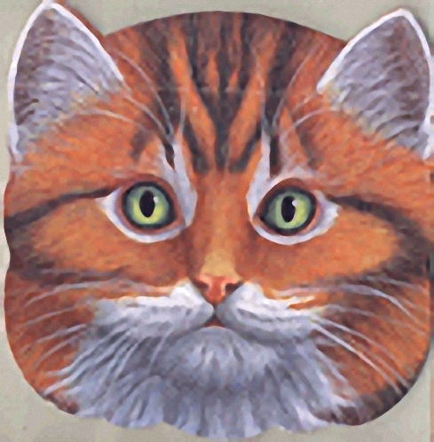 وجوه الحيوانات - الهرة