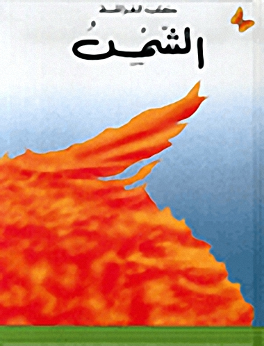 الشمس، المرحلة الأولى