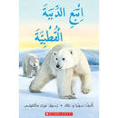 اتبع الدببة القطبية