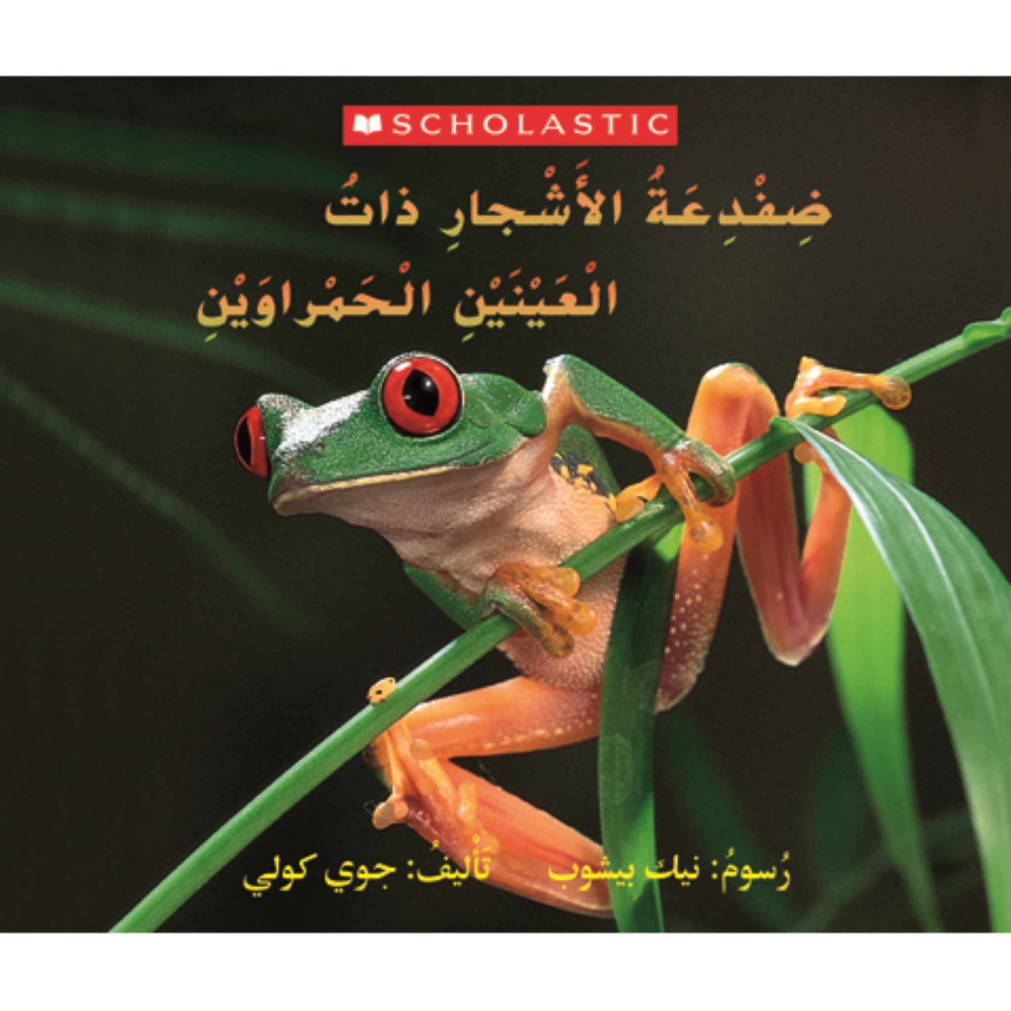 ضفدعة الأشجار ذات العينين الحمراوين