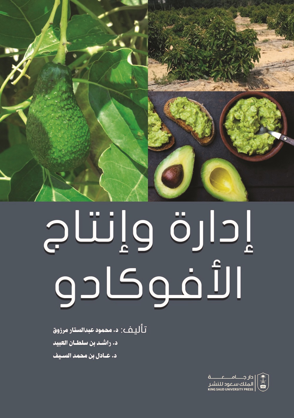 إدارة وإنتاج الأفوكادو