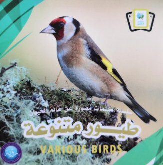 سلسلة كلمات مصورة عن عالم الحيوان : طيور متنوعة
