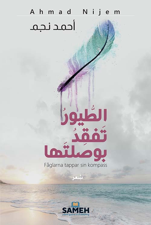 الطيور تفقد بوصلتها