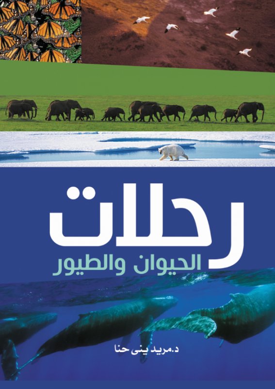 رحلات الحيوان والطيور