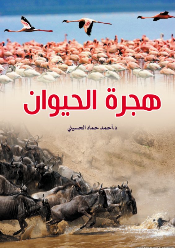 هجرة الحيوان