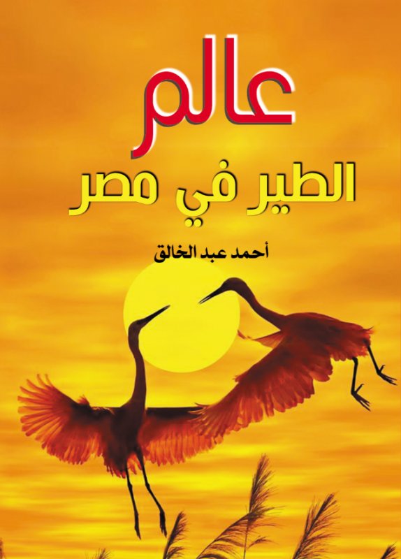 عالم الطير في مصر