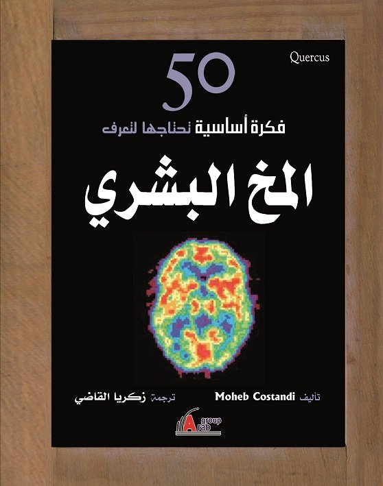 50 فكرة أساسية تحتاجها لتعرف المخ البشري