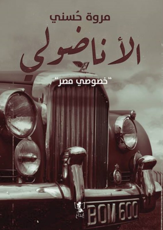 الأناضولي : خصوصي مصر