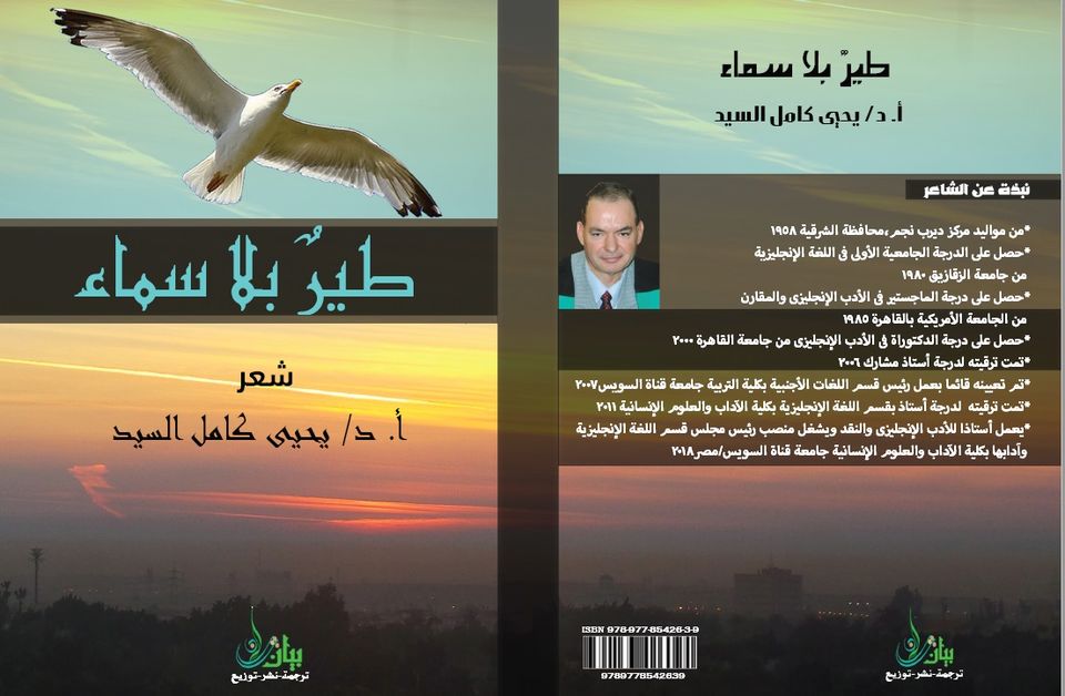 طير بلا سماء