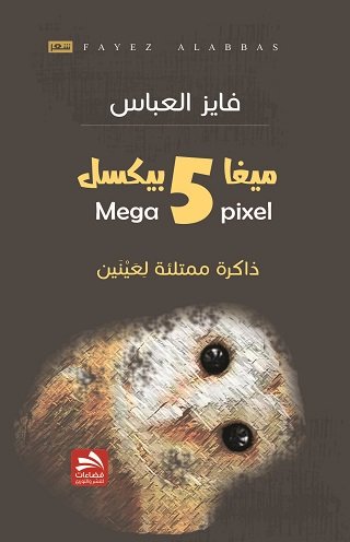 5 ميغا بيكسل : ذاكرة ممتلئة لعينين