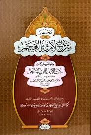 مختصر شرح لامية العجم