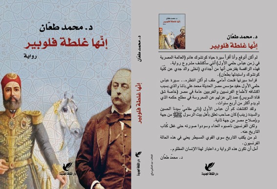 إنها غلطة فلوبير