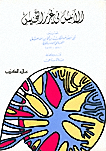 الأنيس في غرر التجنيس