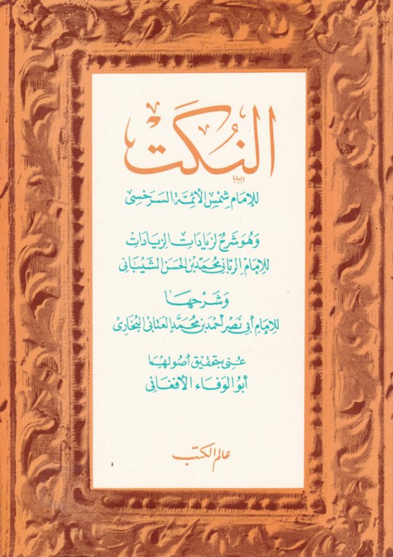 النكت : وهو شرح لزيادات الزيادات