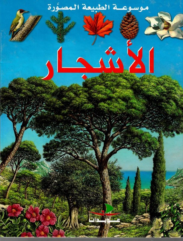 الأشجار : لإطلاع الأولاد عليها