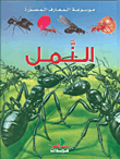 الكلاب