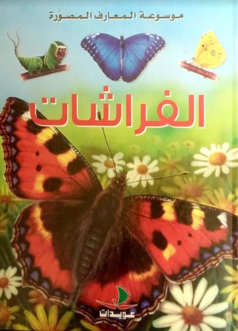 الفراشات