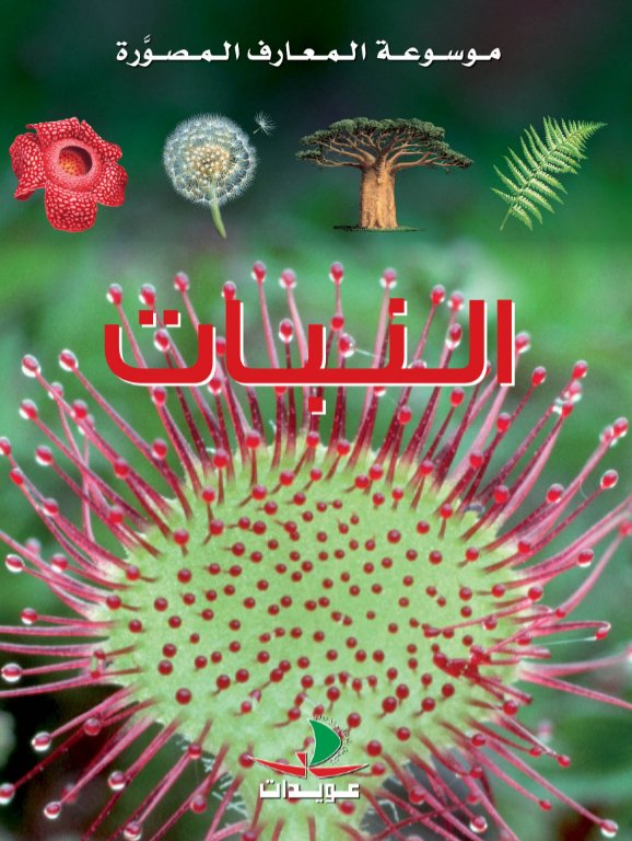 النبات