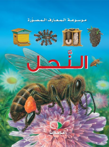 النحل