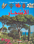تعليم النطق للأطفال المنغوليين