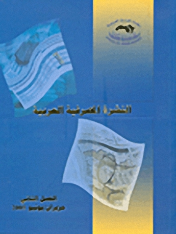 النشرة المصرفية العربية : الفصل الثاني (2005)