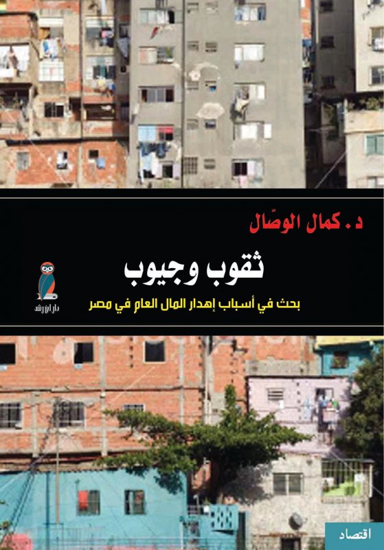 ثقوب وجيوب : بحث في أسباب إهدار المال العام في مصر