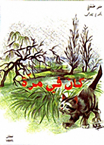 كان في مرة