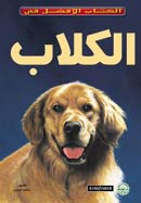 الكلاب