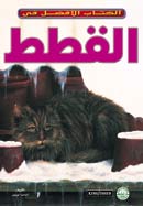 القطط