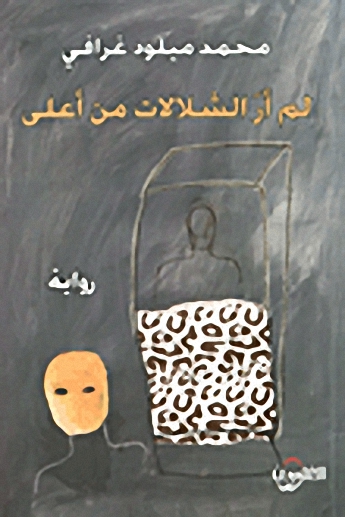 لم أرَ الشلالات من أعلى