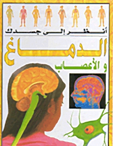 الدماغ والأعصاب
