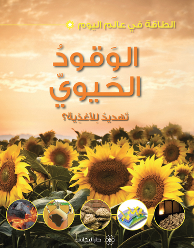 الوقود الحيوي تهديد للأغذية؟
