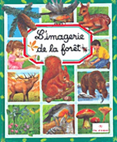 L'imagerie de la foret