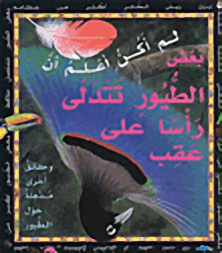 لم أكن أعلم أن بعض الطيور تتدلى رأساً على عقب : وحقائق أخرى مذهلة حول الطيور