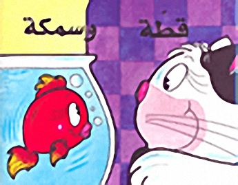 قطة وسمكة