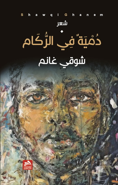 دمية في الركام