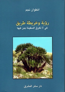 رؤية وخريطة طريق : كي لا تغرق السفينة بمن فيها