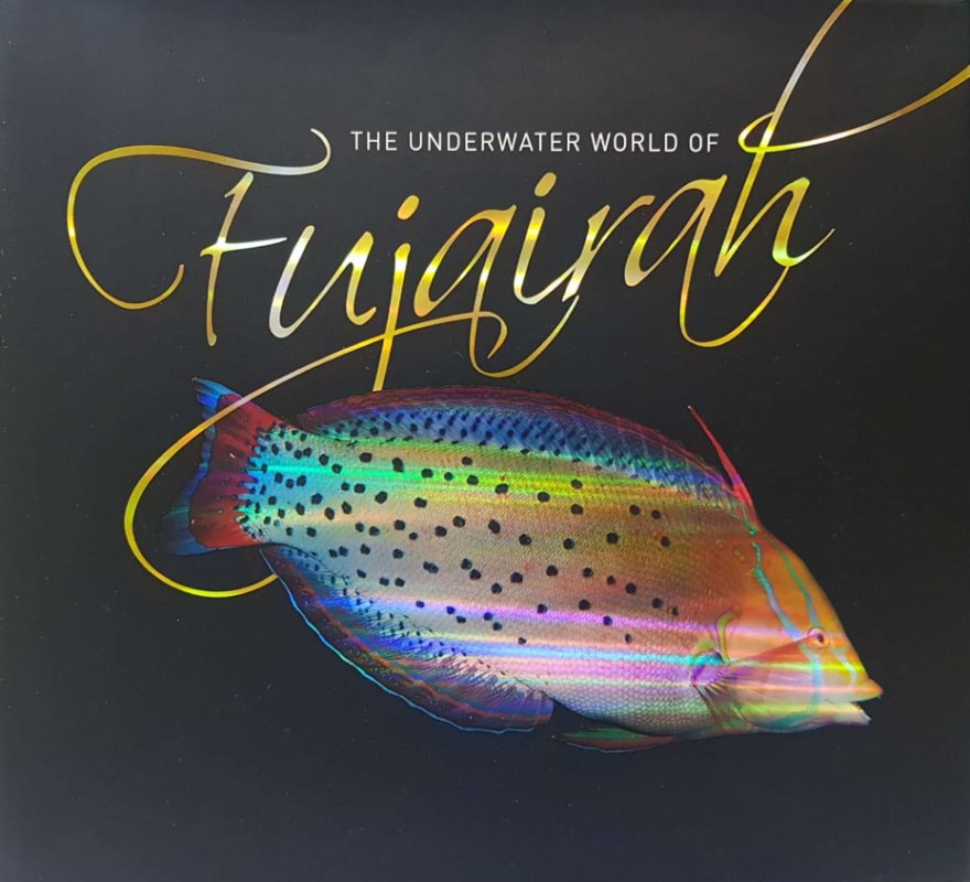 THE underwater worldof fujairah