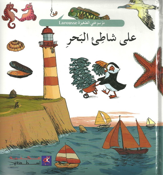 على شاطئ البحر