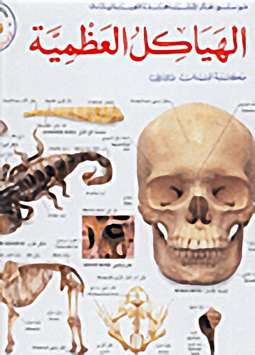 الهياكل العظمية