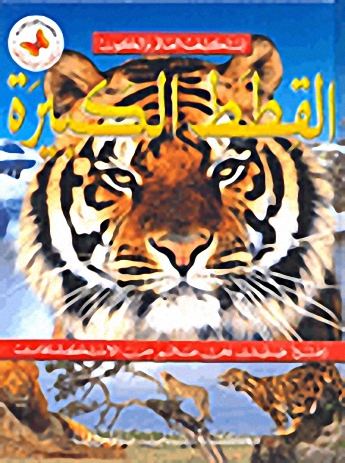 القطط الكبيرة