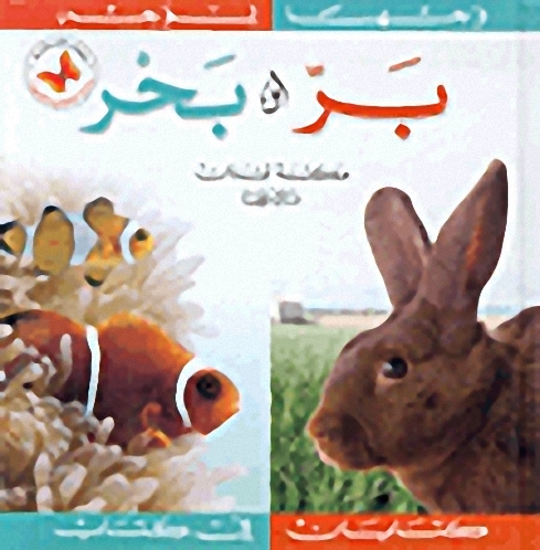 بر وبحر