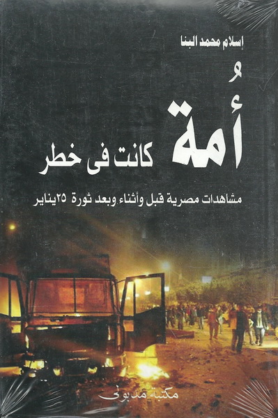 أمة كانت في خطر : مشاهدات مصرية قبل وأثناء وبعد ثورة 25 يناير