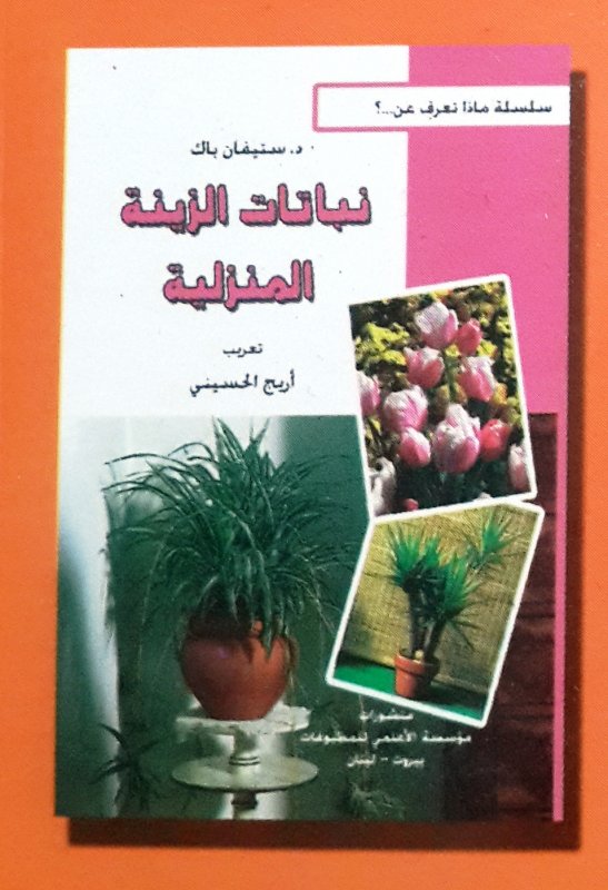 نباتات الزينة المنزلية