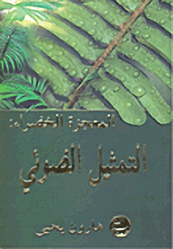 المعجزة الخضراء : التمثيل الضوئي