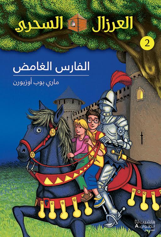 الفارس الغامض