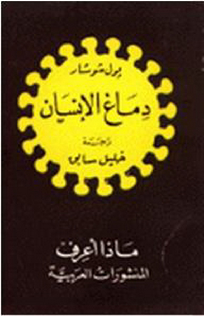 دماغ الإنسان