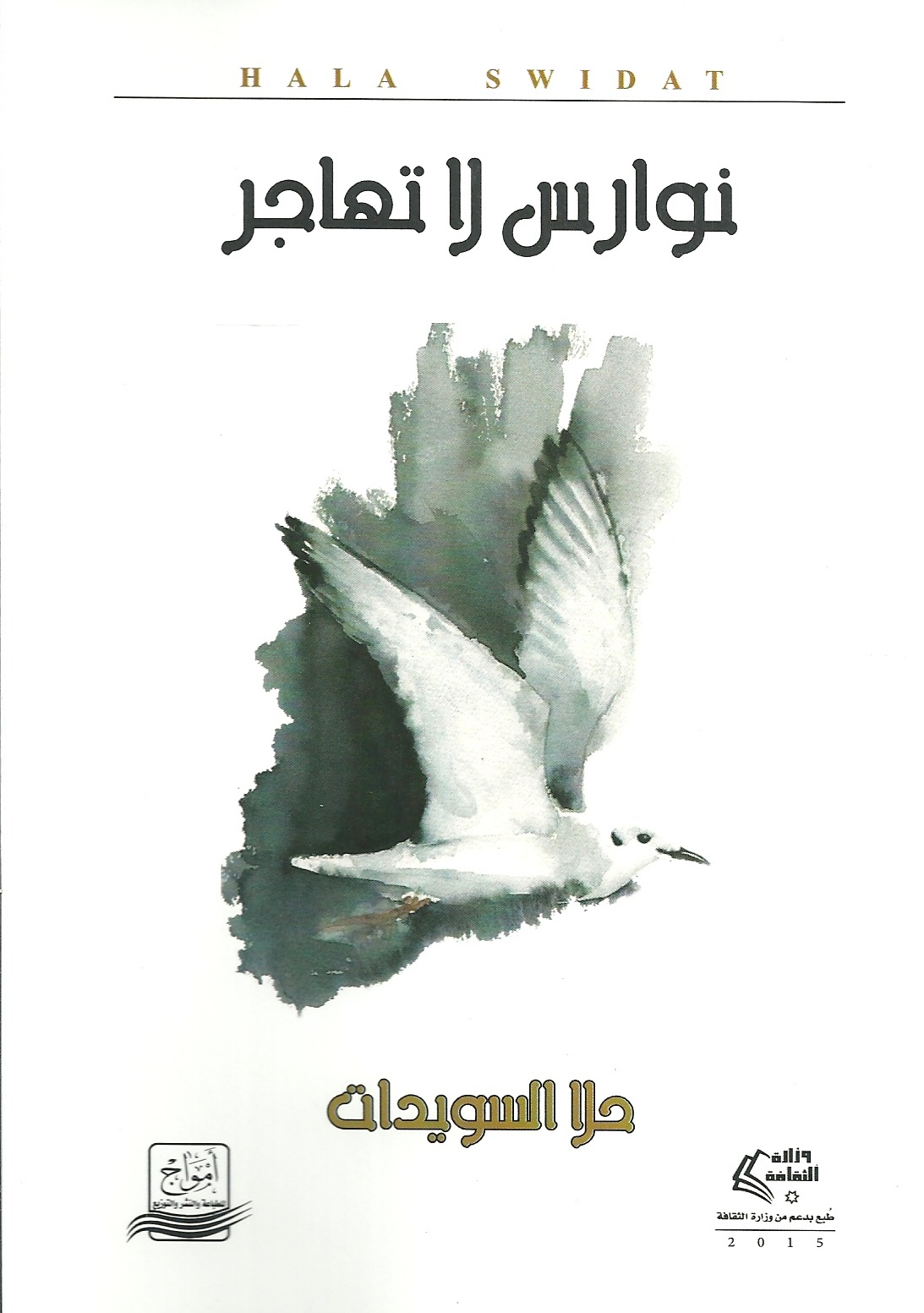 نوارس لا تهاجر