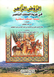 الروضة البهية الزاهرة فى خطط المعزية القاهرة